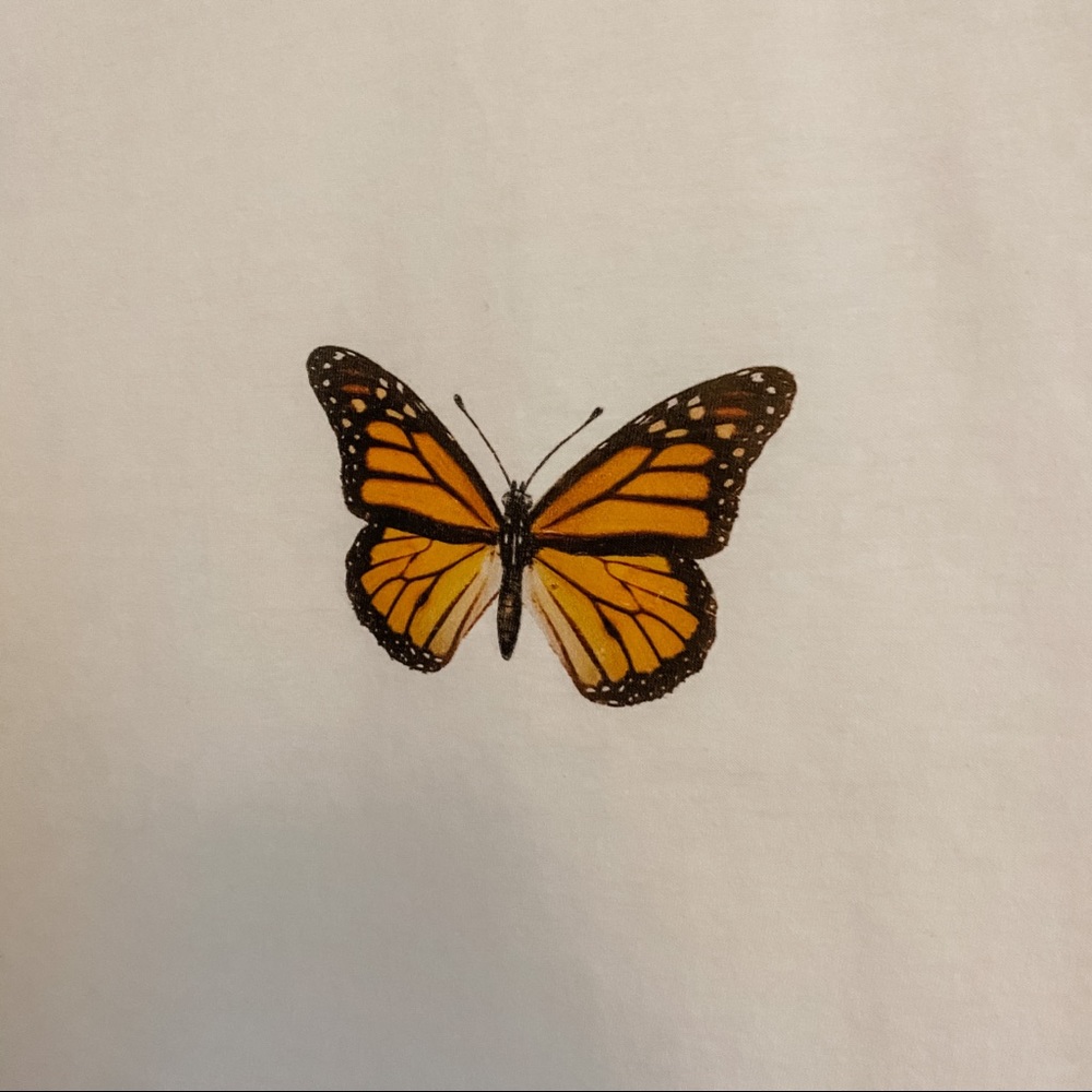 Minimalist Monarch Butterfly Graphic Tee T-Shirt - Picture 5 of 7
